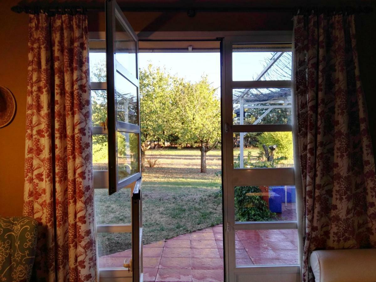 Paz Rural A Una Hora De Madrid Hontoba 외부 사진